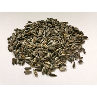 Sonnenblumenkerne gestreift 2kg